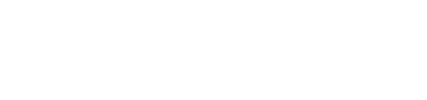 Parigroup SE